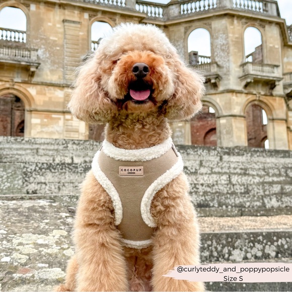NWT Cocopup Aviator Harness (M) - Picture 1 of 9